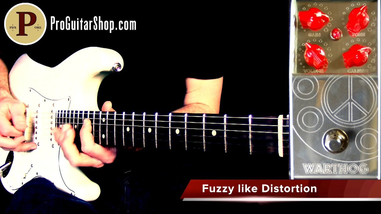 ThorpyFX Warthog Distortion with Mike Hermans