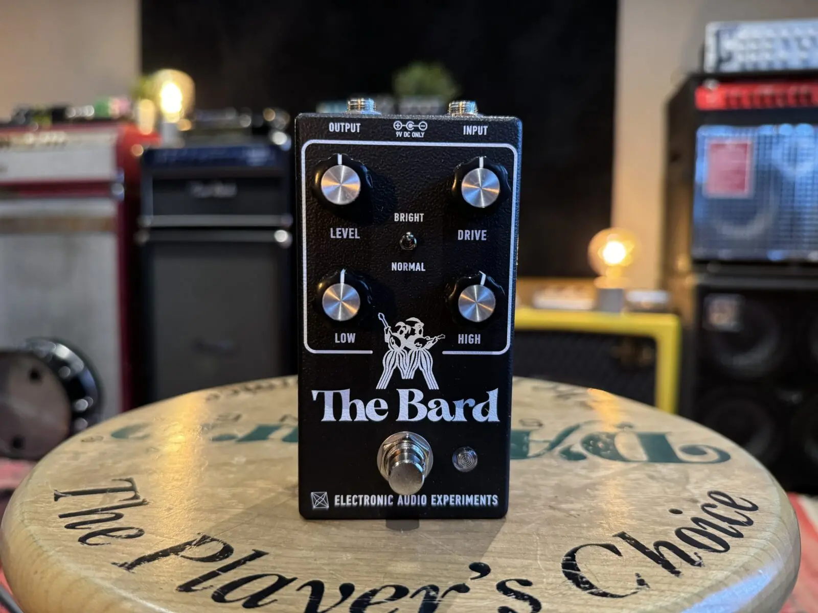 Electronic Audio Experiments - The Bard // Full Demo - YouTube