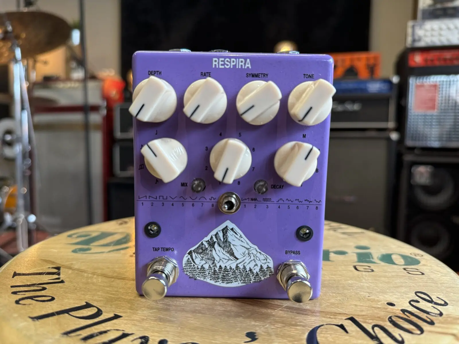AC NOISE RICORDA グラニュラーループ、エフェクターペダル Limited RETRO Series - RICORDA (stereo granular reverb + freeze